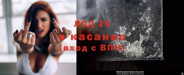 мяу мяу мука Алзамай