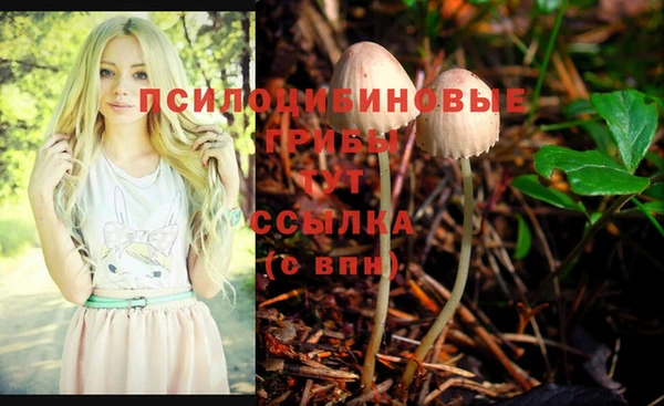 мяу мяу мука Алзамай