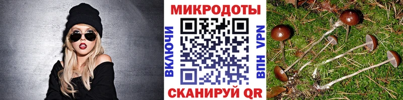Псилоцибиновые грибы Psilocybe  omg tor  Ливны 